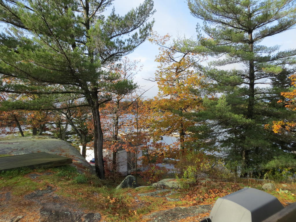 Halls Cottages Honey Harbor Eksteriør billede
